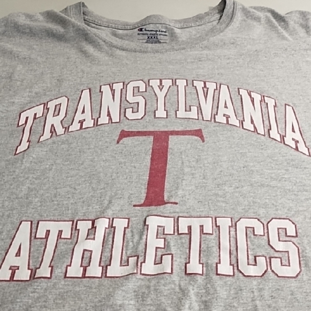 Champion Gray Transylvania Athletics Tee Shirt - Picture 5 of 11